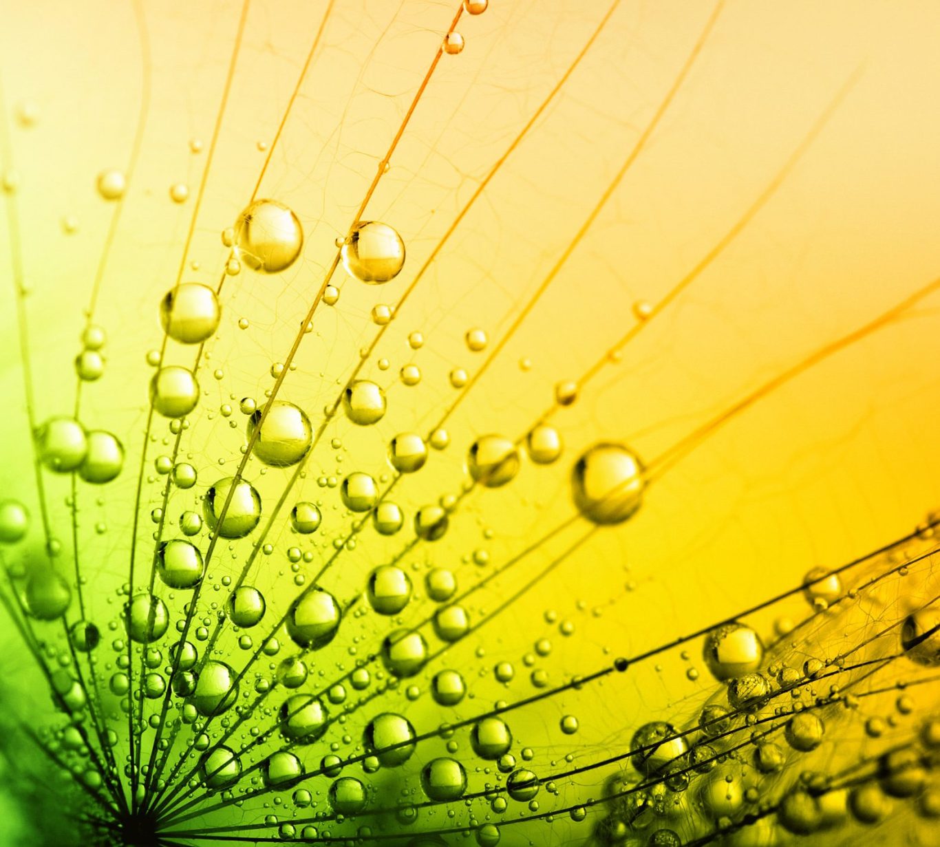 wassertropfen-symbol-fuer-frische.jpg Stimmungsvolle Makroaufnahme von Wassertropfen symbolisiert Frische