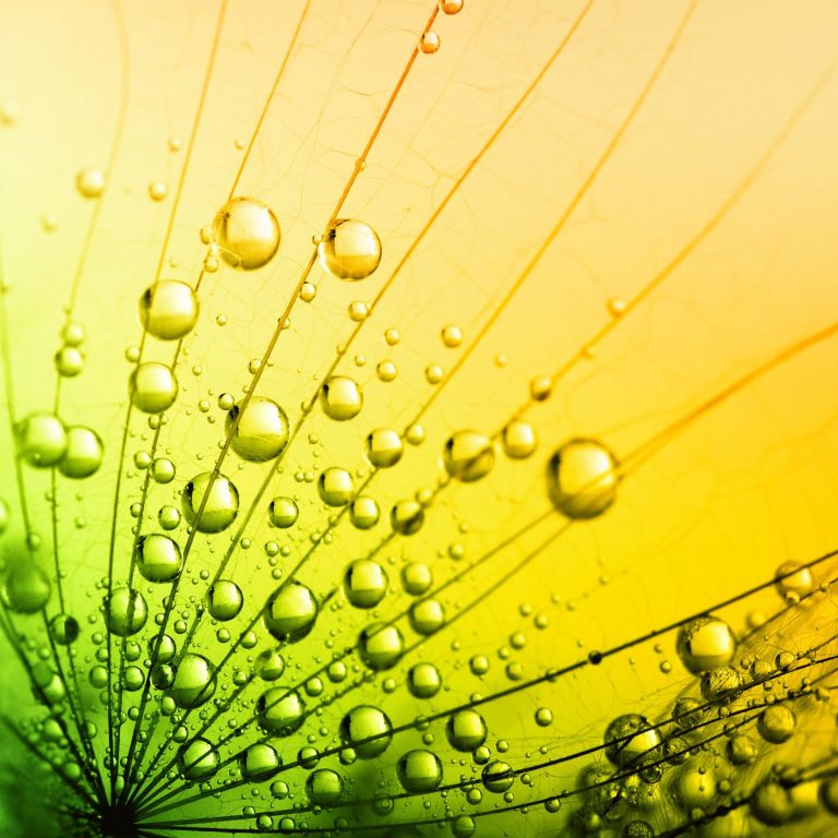 Stimmungsvolle Makroaufnahme von Wassertropfen symbolisiert Frische