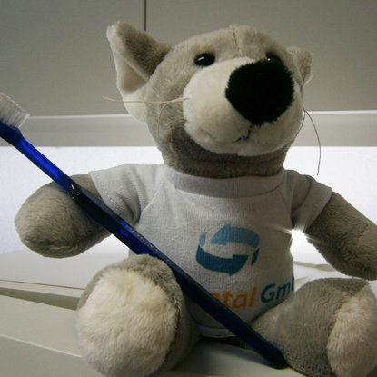 Ein Teddy mit Zahnbürste zeigt, dass Kinder bei Zahnarzt Dr. Herbert Bruckbauer willkommen sind