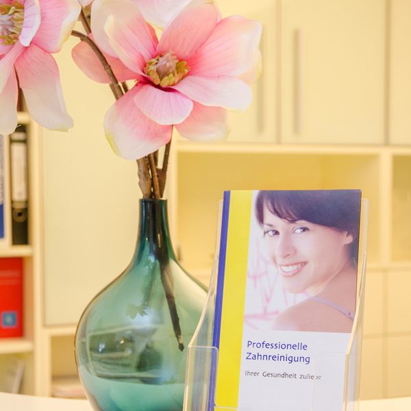 flyer-fuer-zahnreinigung.jpg Detailaufnahme vom Empfangsbereich mit Blumen und Flyer zur Profesionellen Zahnreinigung in der Praxis Dr. Herbert Bruckbauer